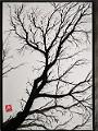 encre de chine_0019